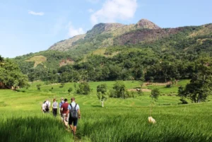 hiking-area-in-sri-lanka-Knuckles-Range