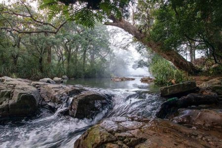 Hiking Area in Sri Lanka (Knuckles Range)