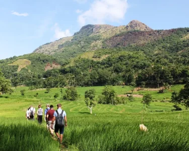hiking-area-in-sri-lanka-Knuckles-Range